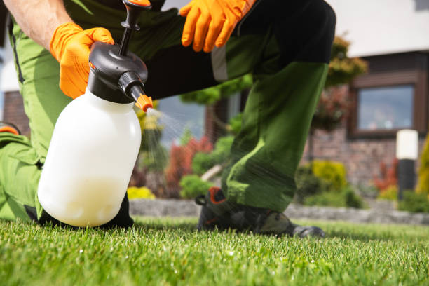 Best Emergency Pest Control  in Geneva, OH