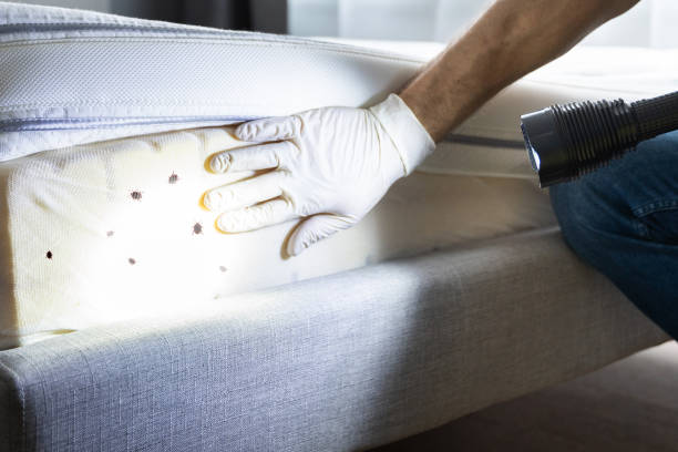 Pest Control for Restaurants in Geneva, OH