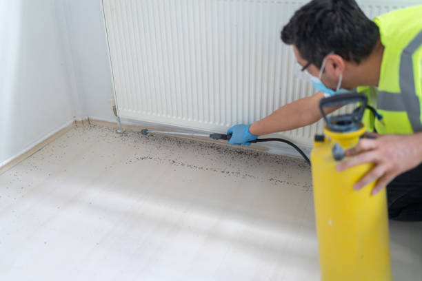 Best Exterminator Services  in Geneva, OH