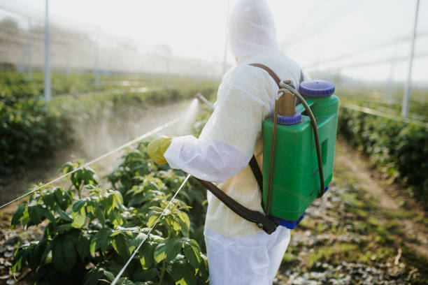 Insect Control in Geneva, OH